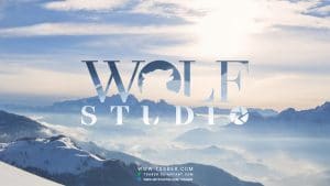 Wolf Studio – Logo design – Mockup – Tsaber